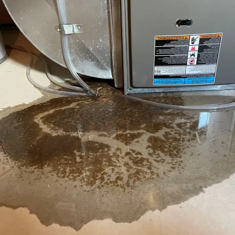 Pipe Burst and Leak Restoration in Codington County, SD